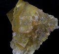 Lustrous, Yellow Cubic Fluorite Crystals - Morocco #37481-2